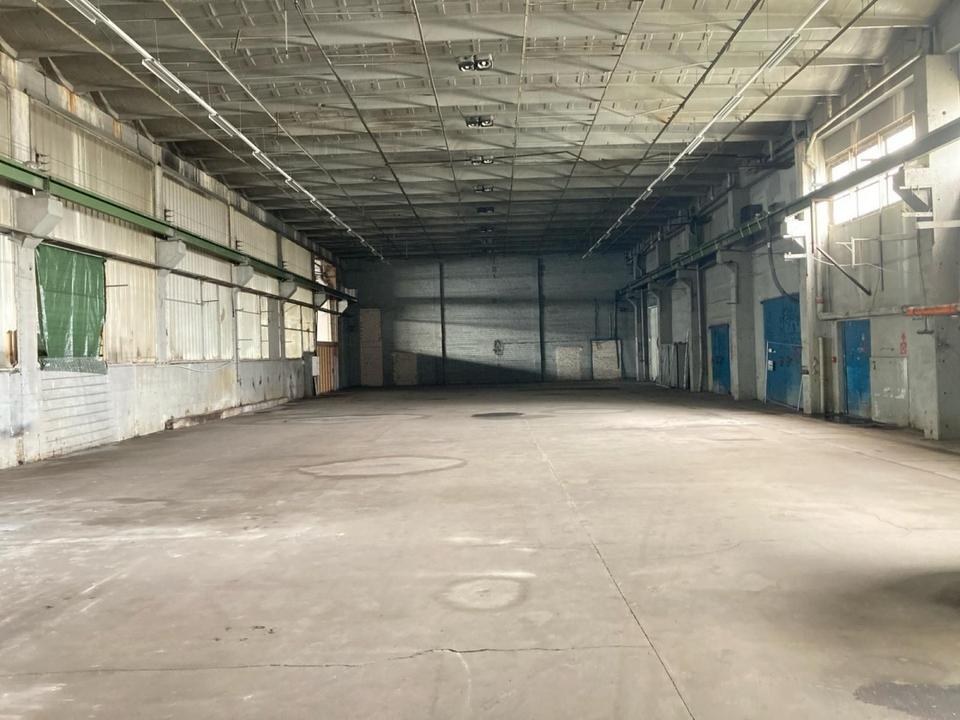 Innenansicht der angebotenen 900-m²-Lagerhalle